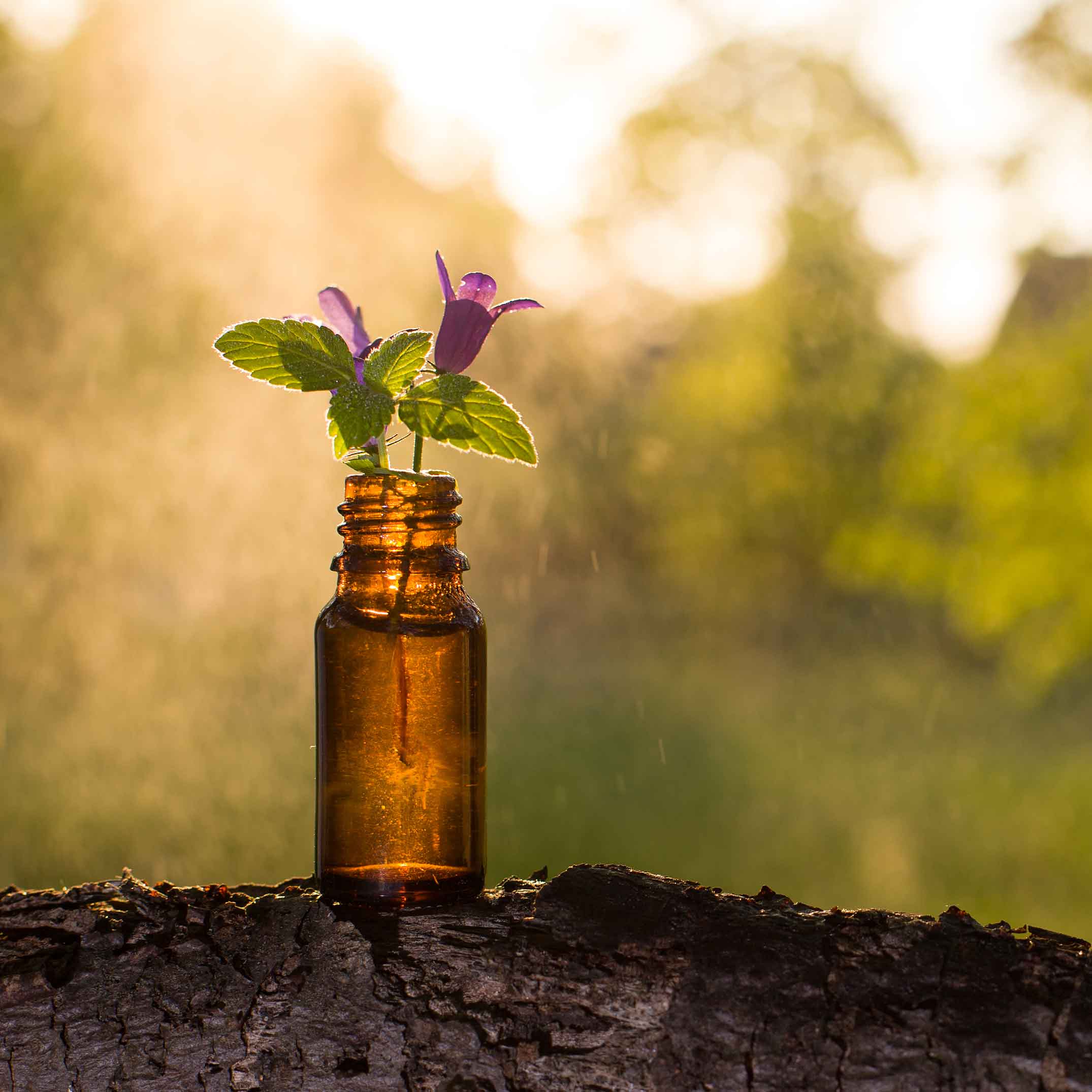 melbourne naturopath industry insights banner